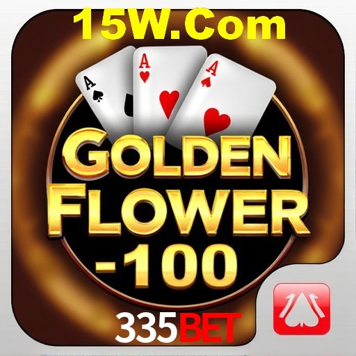 Interface Premium 335Bet